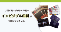 winfo44.p11png